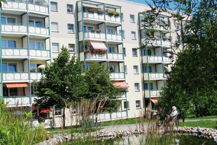 Wohnung Zwickau Neuplanitz - 2 Zimmer, 38 m&sup2;, 263&euro; | Angebot:25569433