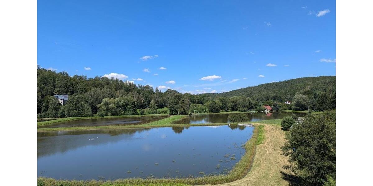 Einfamilienhaus Kirchberg - 4 Zimmer, 147 m&sup2;, 1.539&euro; | Angebot:21567004