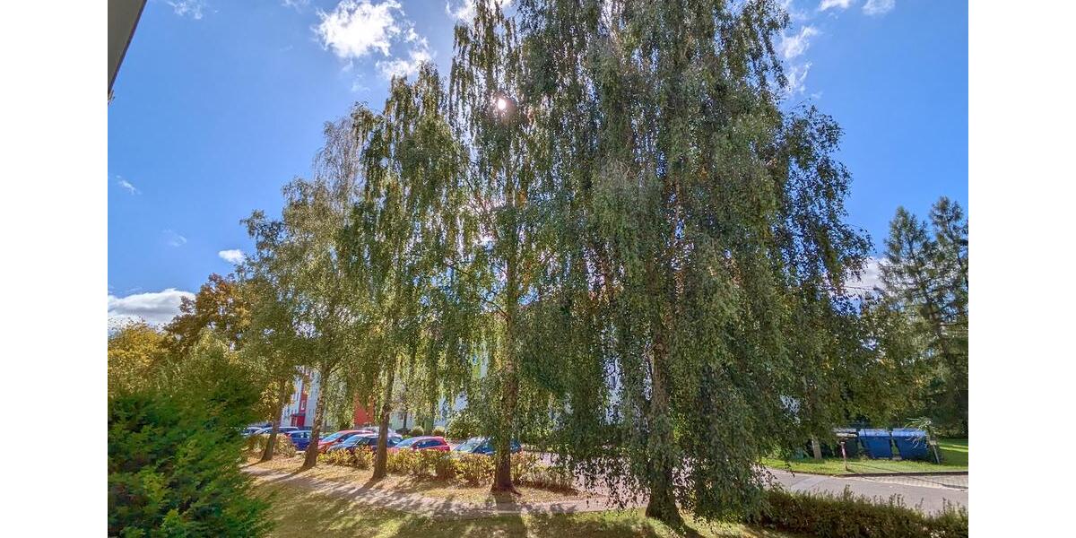 Erdgeschoßwohnung Limbach-Oberfrohna Oberfrohna - 2 Zimmer, 51 m&sup2;, 327&euro; | Angebot:26681035