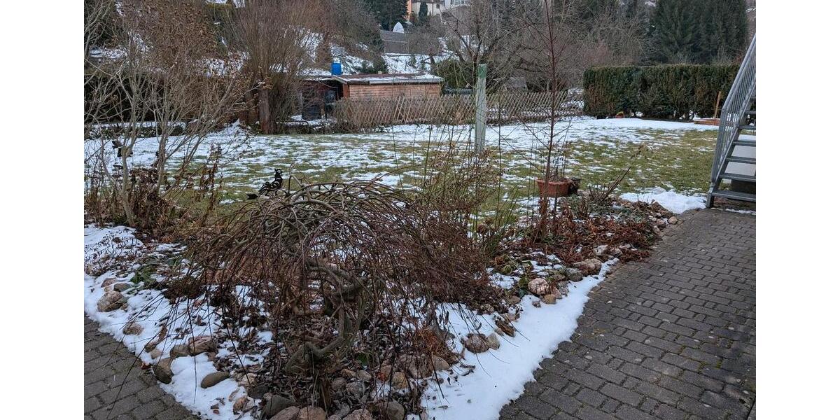 Etagenwohnung Zwickau Auerbach - 2 Zimmer, 59 m&sup2;, 440&euro; | Angebot:25097220