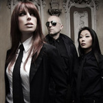 Kirlian Camera & Support