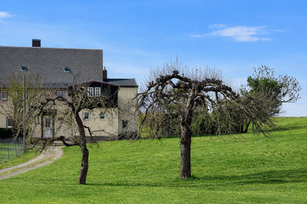 Grundstück Limbach-Oberfrohna Oberfrohna - 150.000&euro; | Angebot:26758336