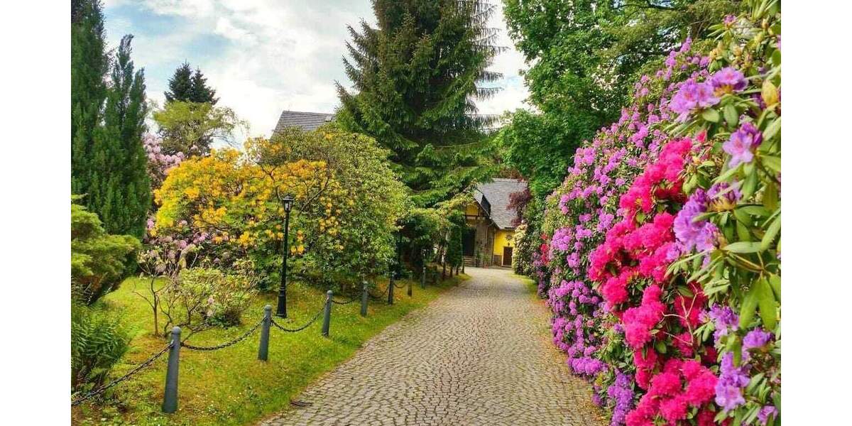 Gewerbeobjekt Schwarzenberg - 1 Zimmer, 790.000&euro; | Angebot:25747147