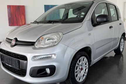 Fiat Panda 67.000 km 6.980 &euro; Zwickau 08056