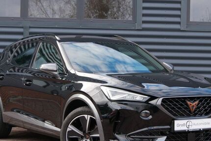 Cupra Formentor 53.585 km 21.990 &euro; Schneeberg 08289