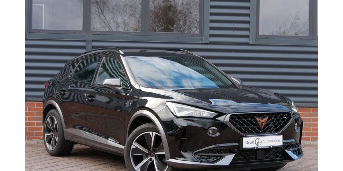 Cupra Formentor 53.585 km 21.990 &euro; Schneeberg 08289