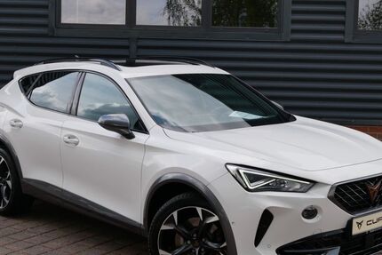 Cupra Formentor 43.890 km 34.790 &euro; Schneeberg 08289
