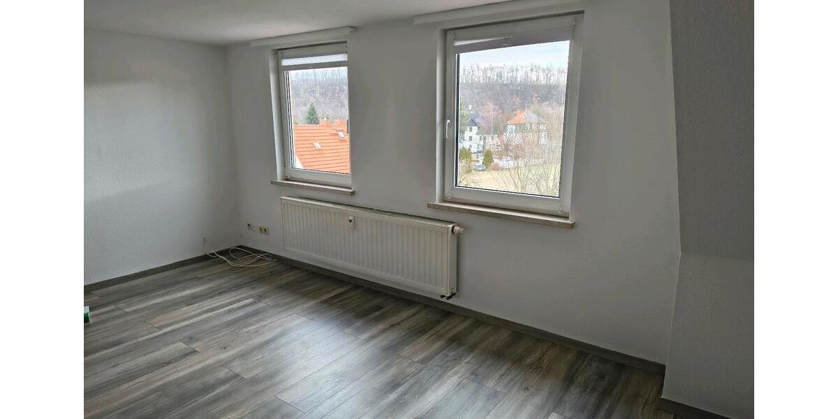 Dachgeschoßwohnung Zwickau - 2 Zimmer, 47 m&sup2;, 259&euro; | Angebot:25947975