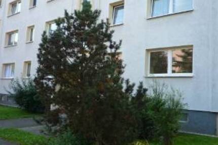 Wohnung Reinsdorf - 3 Zimmer, 57 m&sup2;, 300&euro; | Angebot:25707489