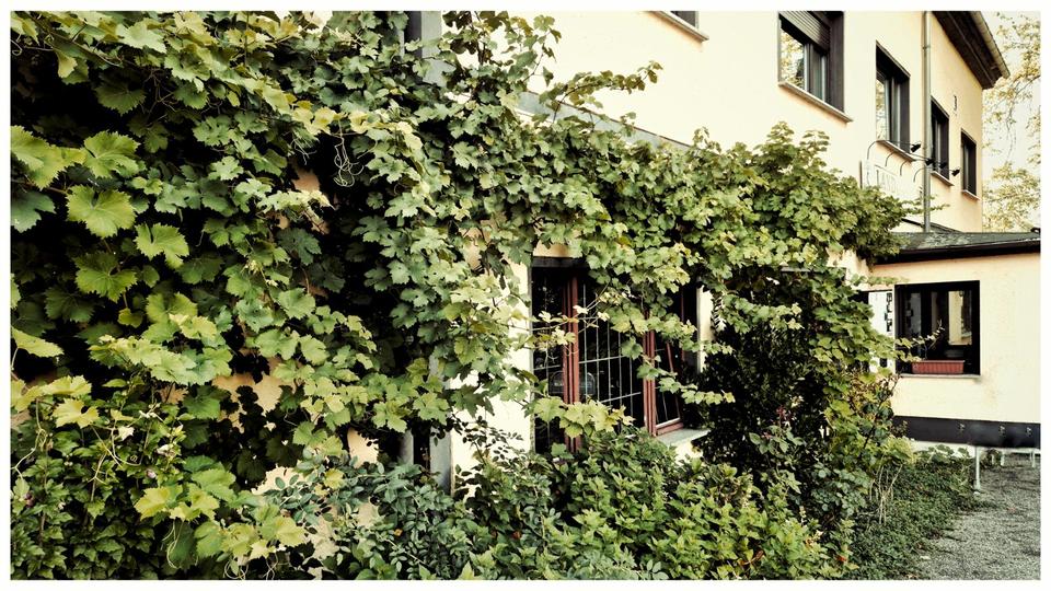 Einfamilienhaus Nobitz - 16 Zimmer, 700 m&sup2;, 308.000&euro; | Angebot:25990796