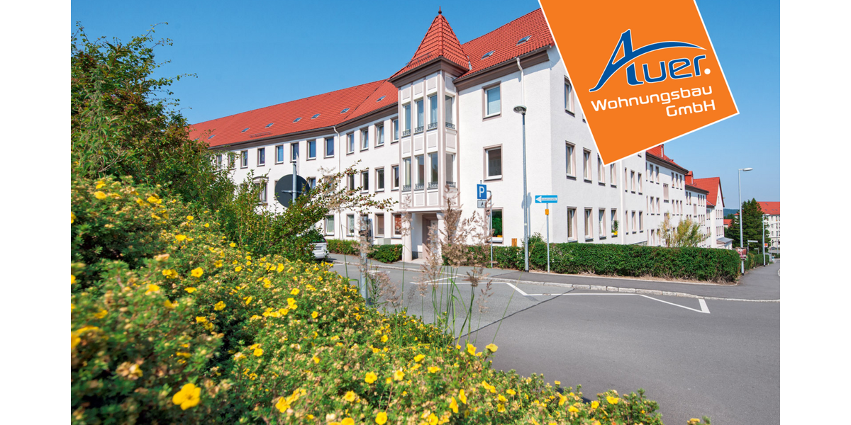 Etagenwohnung Aue-Bad Schlema Bad Schlema - 3 Zimmer, 64 m&sup2;, 385&euro; | Angebot:18636397