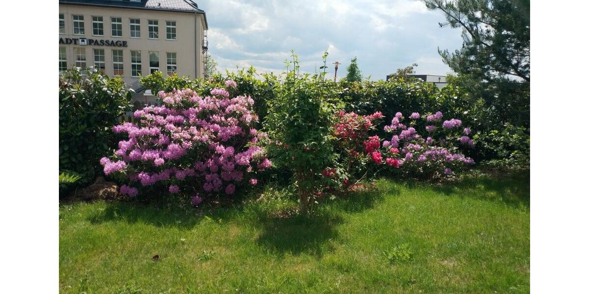 Hochparterre Hohenstein-Ernstthal Ernstthal - 6 Zimmer, 133 m&sup2;, 700&euro; | Angebot:24779923