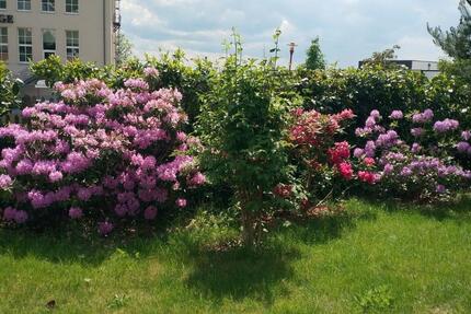 Wohnung Hohenstein-Ernstthal Ernstthal - 6 Zimmer, 133 m&sup2;, 700&euro; | Angebot:24779923