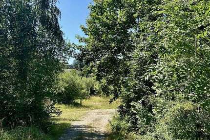 Grundstück Wildenfels - 379.000&euro; | Angebot:22774272