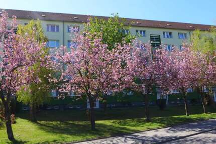 Wohnung Limbach-Oberfrohna Oberfrohna - 3 Zimmer, 57 m&sup2;, 325&euro; | Angebot:23739111