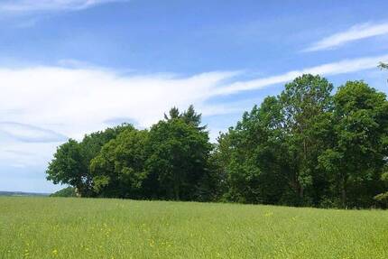 Grundstück Lichtentanne Schönfels - 45.000&euro; | Angebot:25678793