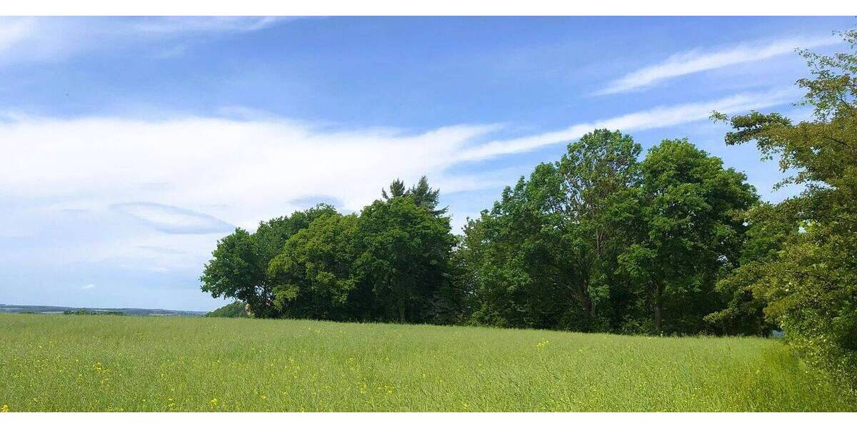 Grundstück Lichtentanne Schönfels - 45.000&euro; | Angebot:25678793