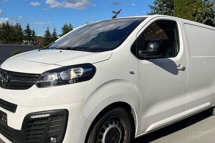 Opel Vivaro 116.000 km 15.800 &euro; Werdau 08412