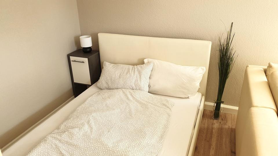 Etagenwohnung Zwickau Neuplanitz - 1 Zimmer, 38 m&sup2;, 414&euro; | Angebot:25166550