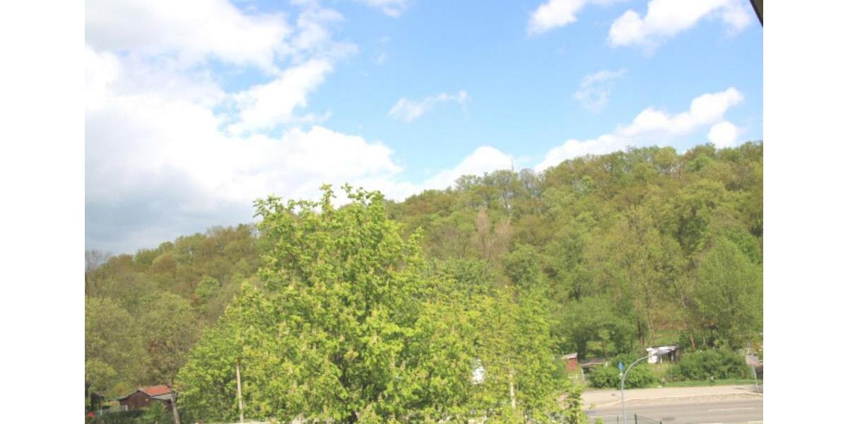 Etagenwohnung Werdau - 2 Zimmer, 63 m&sup2;, 310&euro; | Angebot:24784881