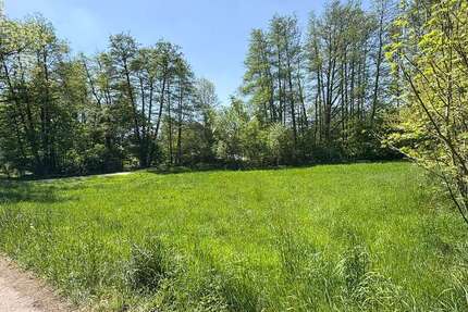 Grundstück Hartenstein - 23.000&euro; | Angebot:22518316