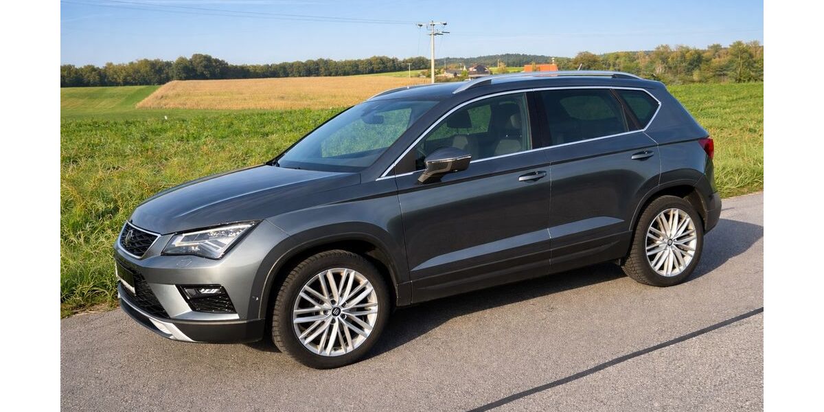 Seat Ateca 175.956 km 15.500 &euro; Crinitzberg 08147