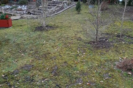 Lichtentanne, Grdst. + Bungalow - Grundstück Lichtentanne | Angebot:18333853