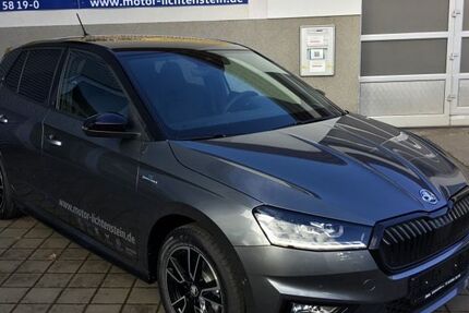 Skoda Fabia 11.000 km 25.160 &euro; Lichtenstein 09350