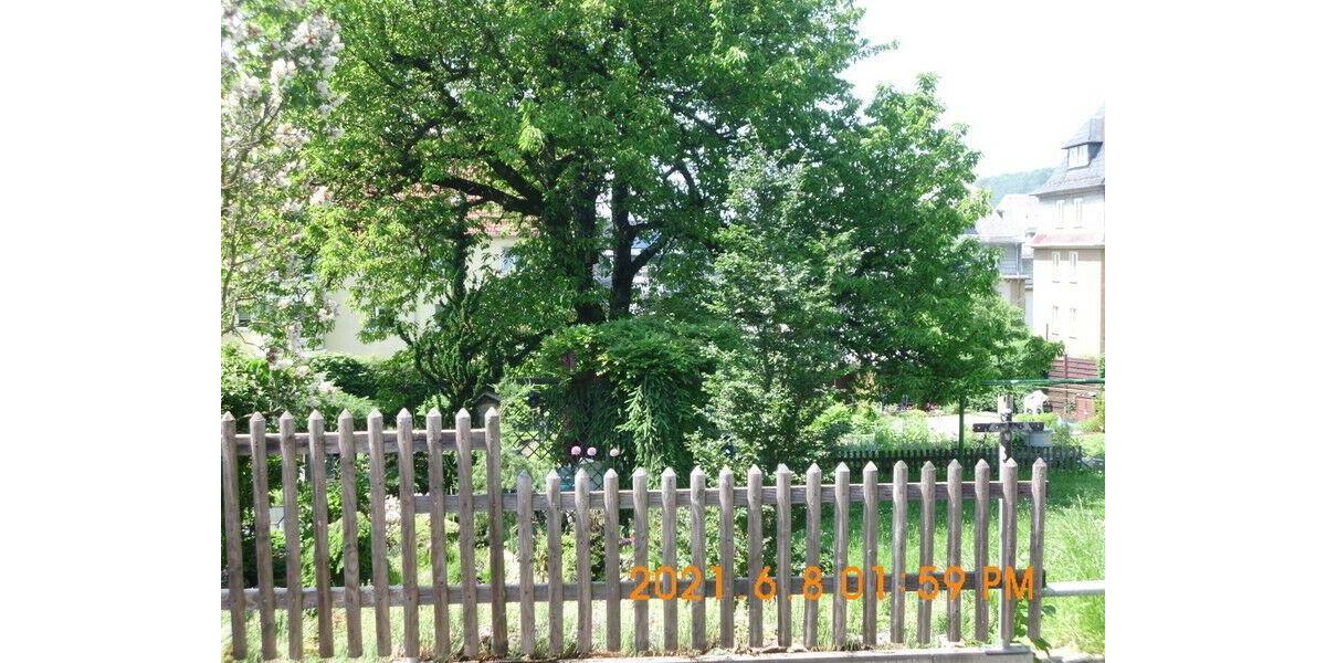 Etagenwohnung Hohenstein-Ernstthal Ernstthal - 3 Zimmer, 72 m&sup2;, 370&euro; | Angebot:9000519