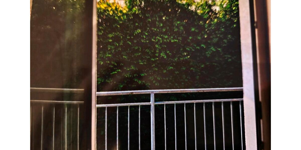 Etagenwohnung Werdau - 1 Zimmer, 40 m&sup2;, 25.000&euro; | Angebot:24466720