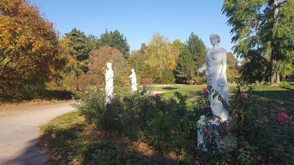 Mehrfamilienhaus, Wohnhaus Zwickau Crossen - 9 Zimmer, 251 m&sup2;, 320.000&euro; | Angebot:25707491