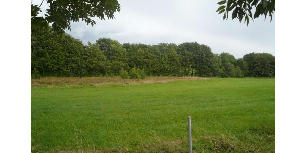 Etagenwohnung Falkenstein/Vogtland Vogtland - 3 Zimmer, 78 m&sup2;, 450&euro; | Angebot:25926313