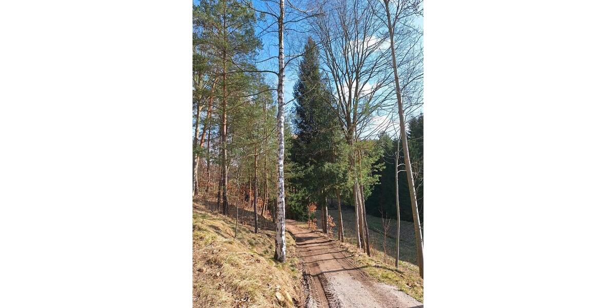 Einfamilienhaus Auerbach/Vogtland Vogtland - 3 Zimmer, 80 m&sup2;, 16.950&euro; | Angebot:25297722