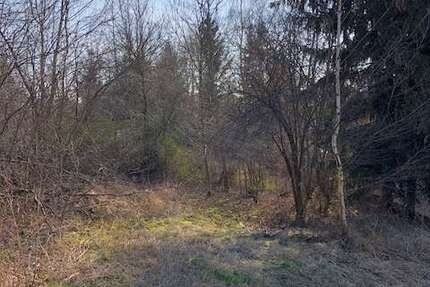 Grundstück Gößnitz - 19.900&euro; | Angebot:22225461