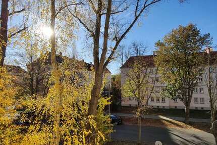 Wohnung Zwickau Pölbitz - 2 Zimmer, 42 m&sup2;, 270&euro; | Angebot:26017910