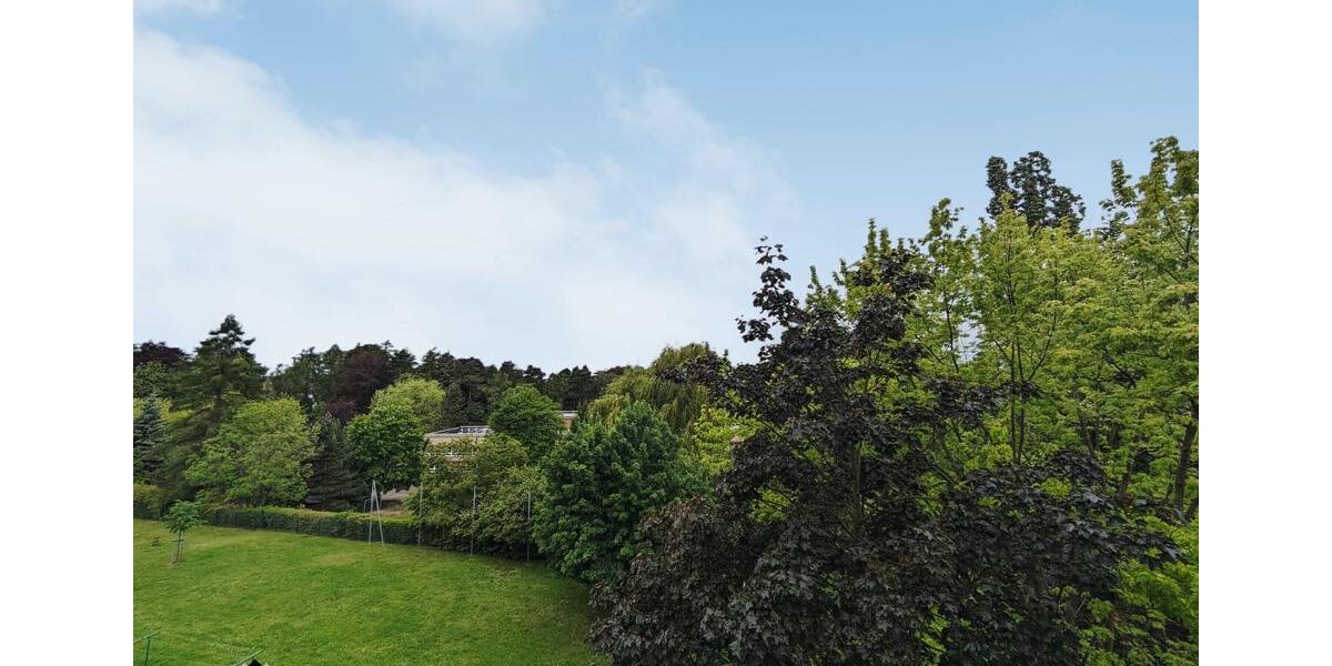 Etagenwohnung Limbach-Oberfrohna Oberfrohna - 3 Zimmer, 55 m&sup2;, 295&euro; | Angebot:25945695