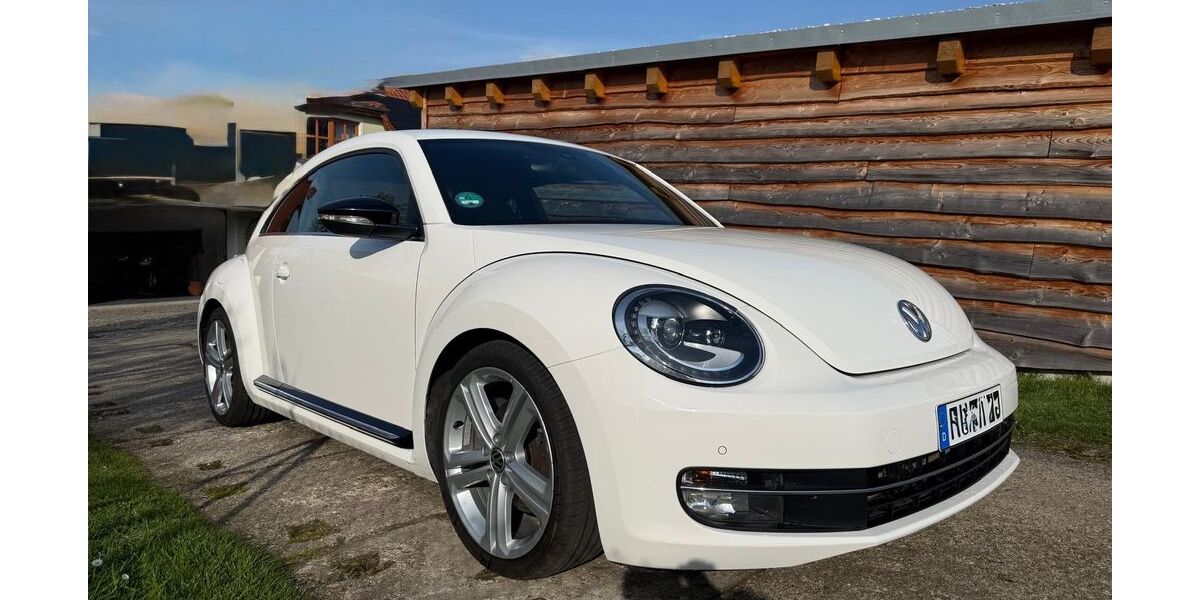 VW Beetle 133.500 km 9.945 &euro; Mylau 08499