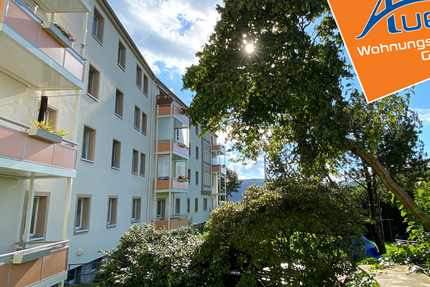 Wohnung Aue-Bad Schlema Bad Schlema - 3 Zimmer, 75 m&sup2;, 452&euro; | Angebot:19825844