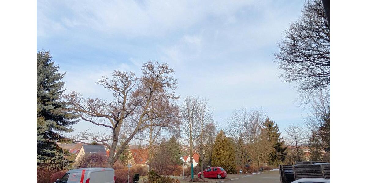 Erdgeschoßwohnung Zwickau Zwickau-West - 2 Zimmer, 45 m&sup2;, 290&euro; | Angebot:25945703