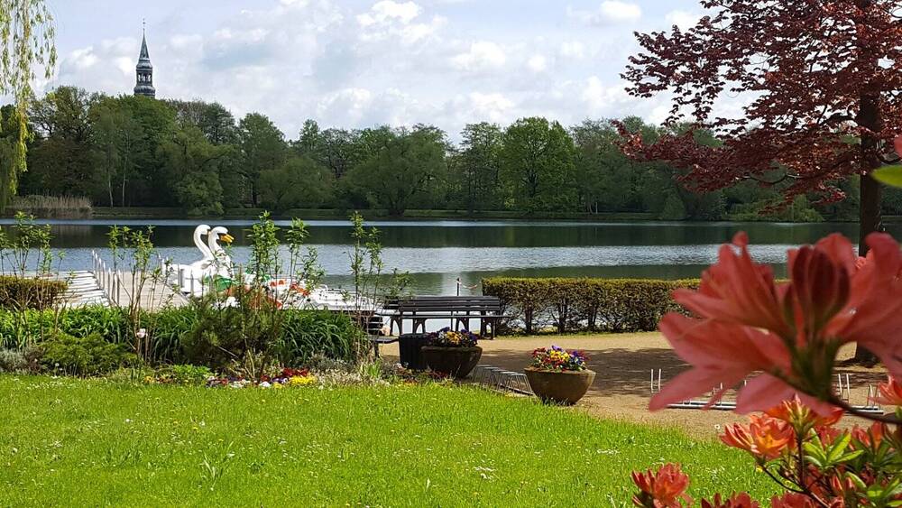 Etagenwohnung Zwickau Marienthal - 2 Zimmer, 59 m&sup2;, 58.000&euro; | Angebot:26807332