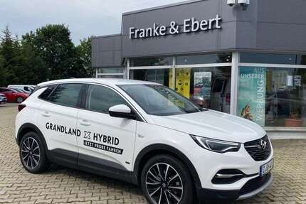 Opel Grandland X 35.000 km 19.990 &euro; Reinsdorf OT Friedrichsgrün 08141