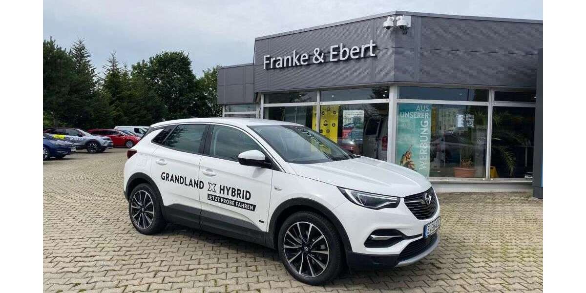 Opel Grandland X 35.000 km 19.990 &euro; Reinsdorf OT Friedrichsgrün 08141