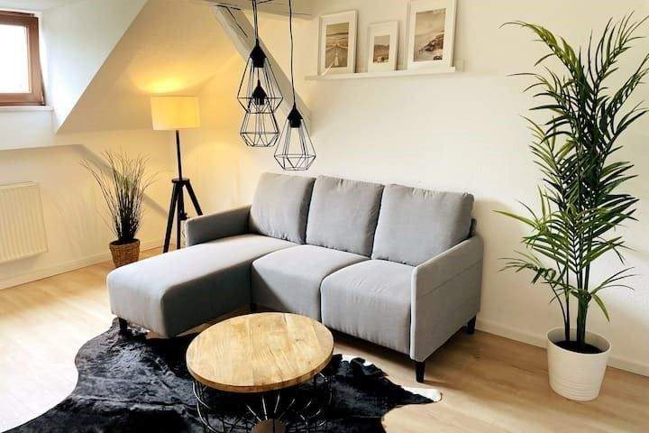 Mehrfamilienhaus, Wohnhaus Zwickau Innenstadt - 2 Zimmer, 1.100.000&euro; | Angebot:25769095