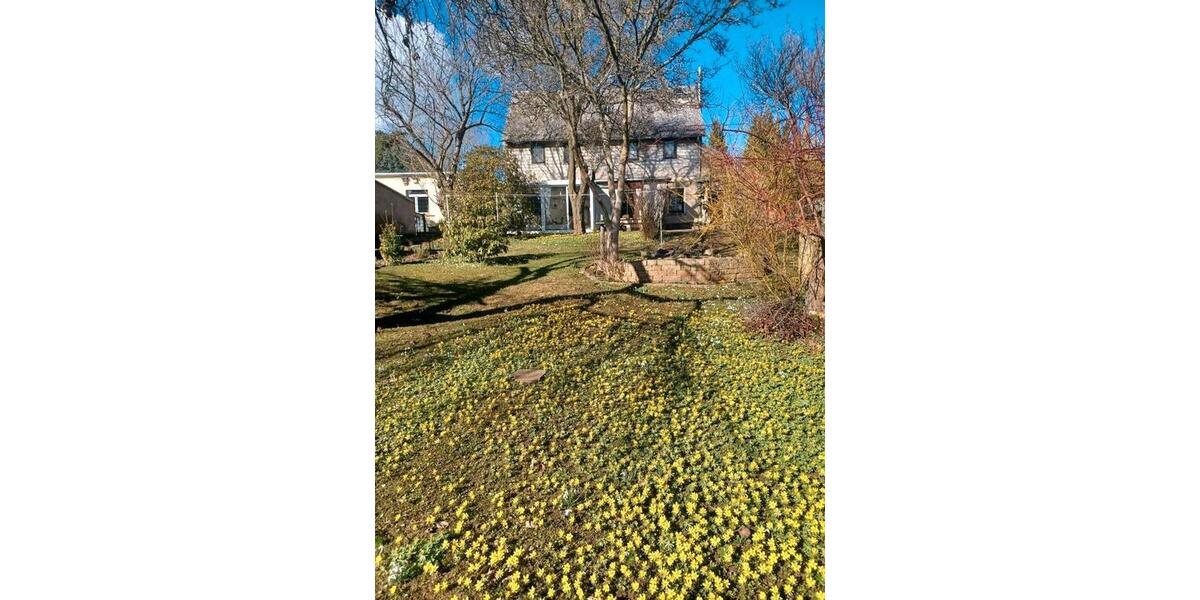 Einfamilienhaus Fraureuth - 4 Zimmer, 100 m&sup2;, 180.000&euro; | Angebot:25995206