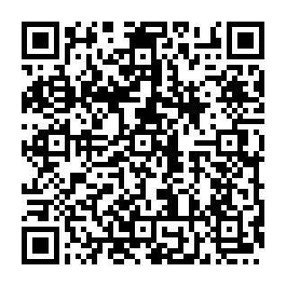 Gewerbeobjekt Zwickau Innenstadt - 4 Zimmer, 125 m&sup2;, 900&euro; | Angebot:26799252