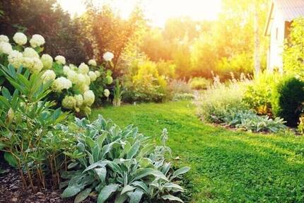 Grundstück Ronneburg - 67.400&euro; | Angebot:25667152