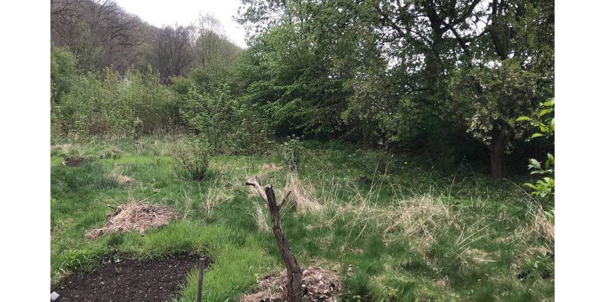 Grundstück Werdau Werdau, Stadt - 173.500&euro; | Angebot:25772845