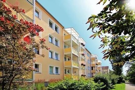Wohnung Zwickau Zwickau-West - 2 Zimmer, 48 m&sup2;, 303&euro; | Angebot:26003201