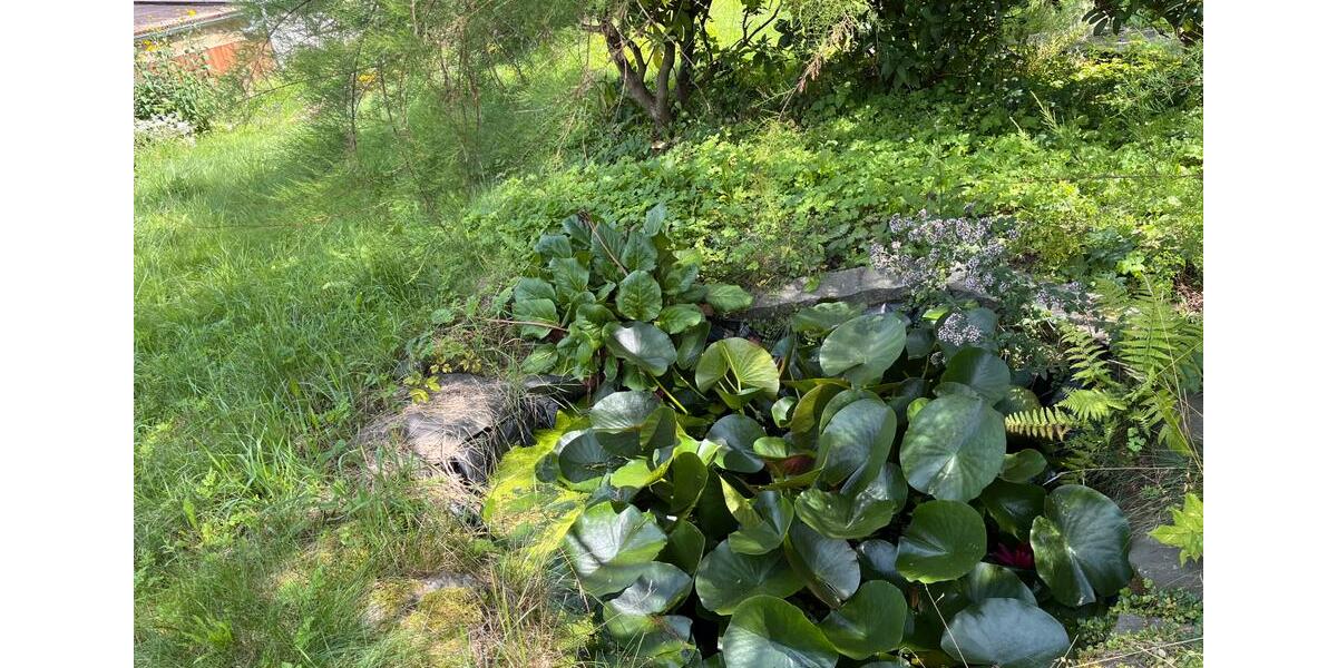 Doppelhaushälfte Zwickau - 4 Zimmer, 101 m&sup2;, 123.000&euro; | Angebot:25961771