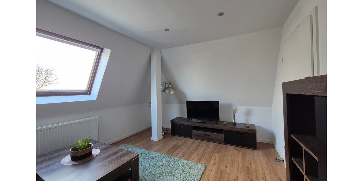 Dachgeschoßwohnung Zwickau Zwickau-Nord - 2 Zimmer, 61 m&sup2;, 700&euro; | Angebot:24533180